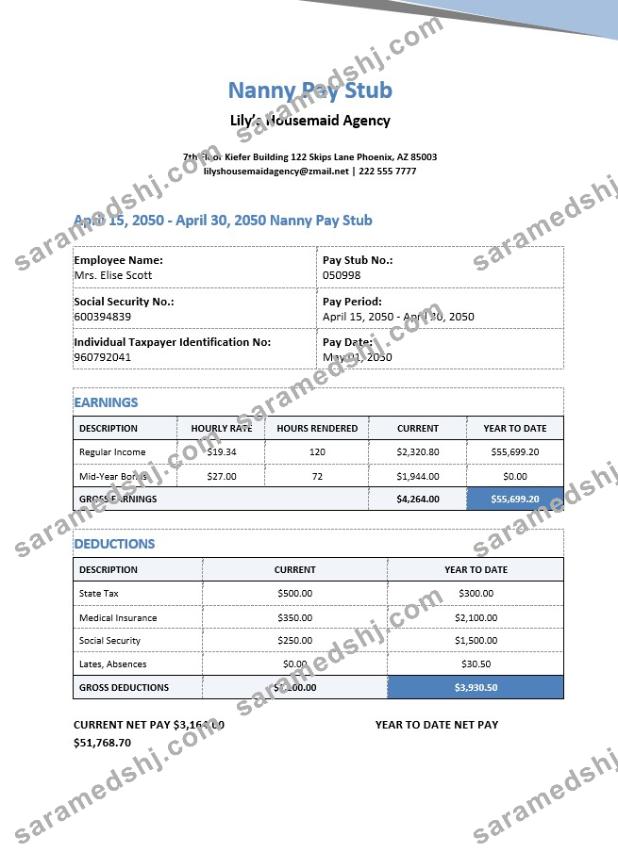 Nanny Pay Stub Template